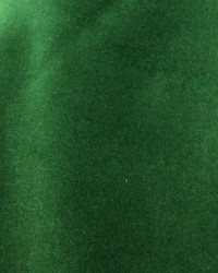 CW Velveteen Emerald by   