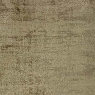 Everest Taupe new2020 Brown Multipurpose Polyester Polyester Contemporary Velvet  Fabric