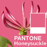 Pantone Color of the Year 2011