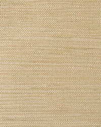 Lennon Grass Jute by  LenTex 