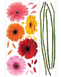 Gerber Daisy RMK1279GM by  York Wallcovering 