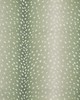 Maxwell Fabrics CHITAL 353 ALOE
