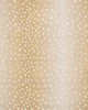 Maxwell Fabrics CHITAL 624 OCHRE