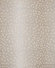 Maxwell Fabrics CHITAL 644 ECRU