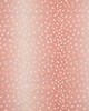 Maxwell Fabrics CHITAL 737 AZALEA