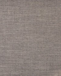 Daintree 528 Ash by  Maxwell Fabrics 