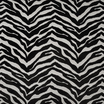 Maxwell Fabrics Gambia 332 Zebra Fabric