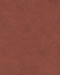 Noonday-nj 1035 Terracotta by   