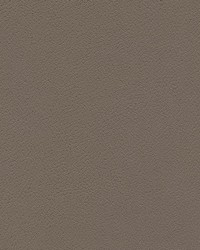 Tannery-nj 122 Umber by   