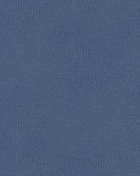 Top Grain-nj 843 Sea Bed by   