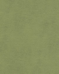 Top Grain-nj 857 Celery by   