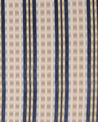 Braxton Stripe Cobalt by   