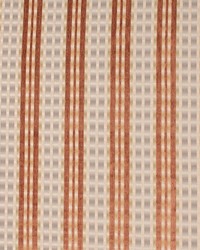 Braxton Stripe Copper by   