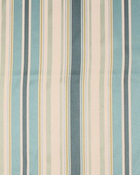 Carlyle Stripe Tropic by   