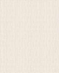 ColorWorks DL111 Seagrass by   