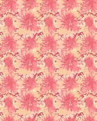 ColorWorks DL143 Just Peachy by   