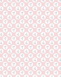 ColorWorks DL167 Blush Pink by   