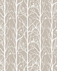 ColorWorks DL177 Betula by   