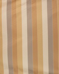 Concorde Stripe Burnished Gold by   