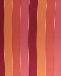 Concorde Stripe Raspberry by   