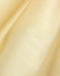 Contessa Corn Silk by   