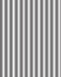 Double Dutch Stripe Reversal Pewter by   