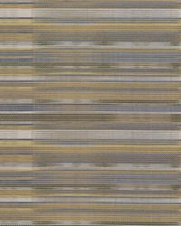 Elan Stripe Golden Haze by   