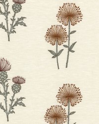 Gaelic Thistle Mimosa by   