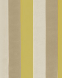 Genoa Stripe Goldenrod by   