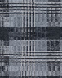 Hartley Check Chambray by   