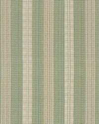 Hayden Stripe  Crypton Cypress by   