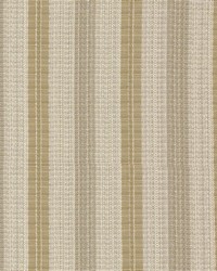 Hayden Stripe  Crypton Granola by   