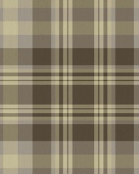 Ipswich Plaid Butter by   