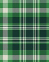 Ipswich Plaid Emerald by   