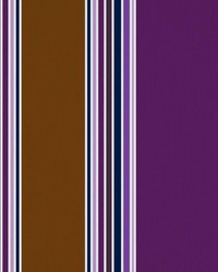 Ming Stripe Amethyst by   