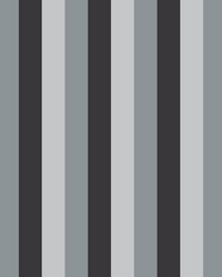 Oakwood Hall Stripe Charcoal by   