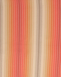 Ombre Stripe Orangerie by   