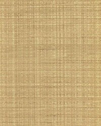 Sinclair Stripe Gold by   