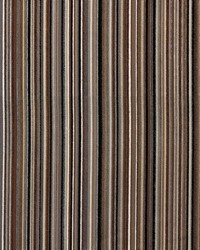 Savoy Stripe Cappuccino by   