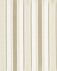 Shelton Stripe Candlelight by   