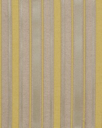 Shelton Stripe Goldenrod by   