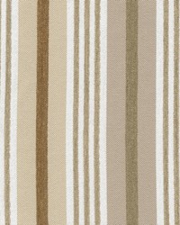 St. Regis Stripe Crypton Linen by   