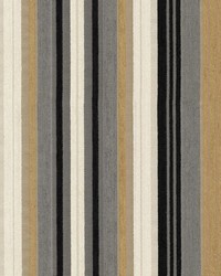 Valentino Stripe Crypton Pyrite by   