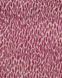 Wild Thing Fuchsia by   