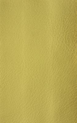Novel Wang Guacamole in The Performance Faux Leather Collection Polyurethane Fire Rated Fabric