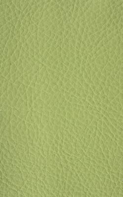 Novel Walter Scallion in The Performance Faux Leather Collection PVC Fire Rated Fabric Solid Faux Leather  Fabric