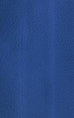Novel Wang Sapphire in The Performance Faux Leather Collection Blue Polyurethane Fire Rated Fabric