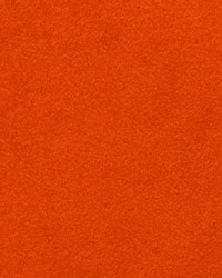 Sensuede Burnt Orange by  S Harris 