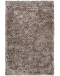 Grizzly 2 x 3 Rug by   