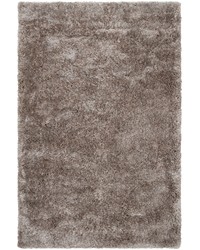 Grizzly 6 x 9 Rug by   